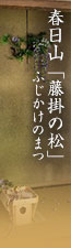 春日山「藤掛の松（ふじかけのまつ）」