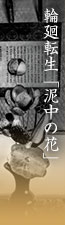 輪廻転生「泥中の花」