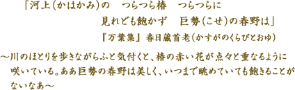 「　河上（かはかみ）の　つらつら椿　つらつらに　見れども飽かず　　巨勢（こせ）の春野は　」『万葉集』　春日蔵首老（かすがのくらびとおゆ）