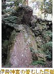 伊勢神宮の苔むした巨岩