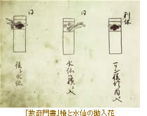 「数奇門書」椿と水仙の抛入花