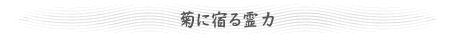 菊に宿る霊力