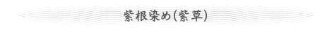 紫根染め(紫草)