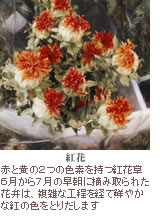 紅花