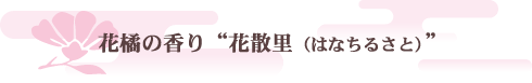 花橘の香り　“花散里（はなちるさと）