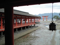 厳島神社４